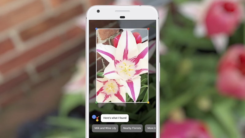 Illustration for article titled What Can Google Lens Actually Do for You Right Now